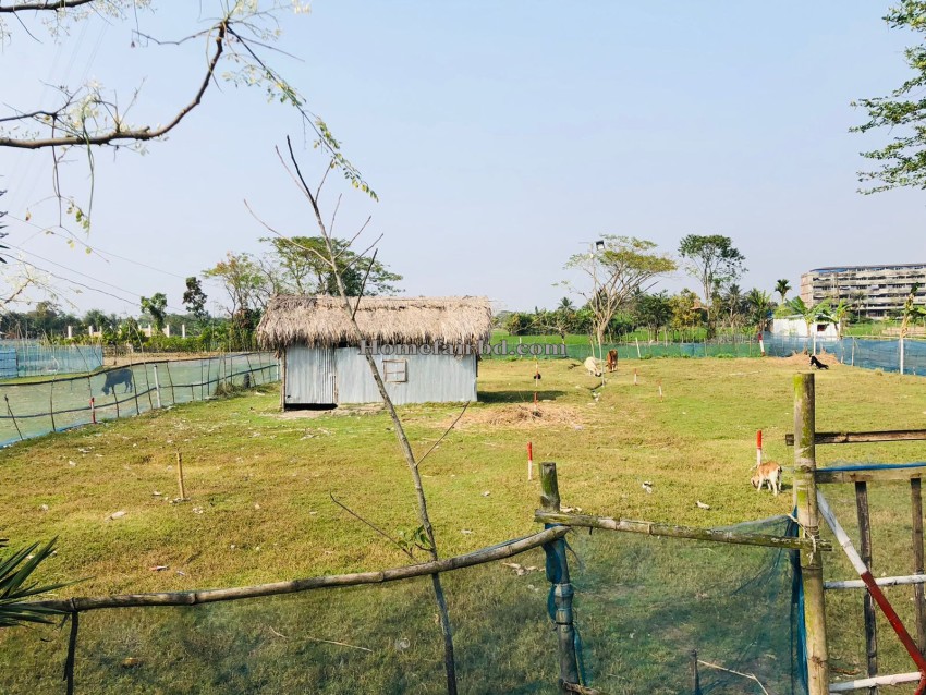 খুলনা তেতুলতলা বাজার এর পাশে ৩১ শতাংশের জমি বিক্রয় হবে