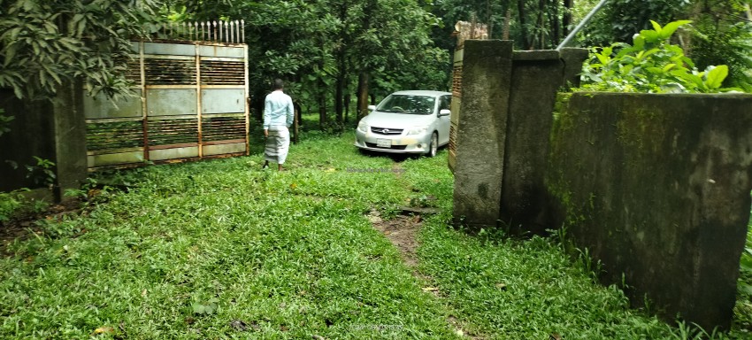 গাজীপুরে ফ্যাক্টরির জন্য ১২ বিঘা, প্লট/জমি বিক্রয় হবে