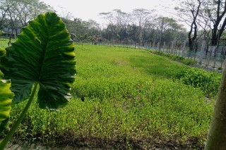 land for sale in  Banasree,  Khulna, BDT 4000000